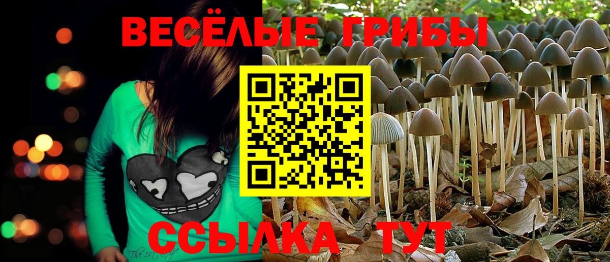 Семёнов  Галлюциногенные грибы Magic Shrooms  Галлюциногенные грибы мухоморы  купить  сайты  Вход с VPN 